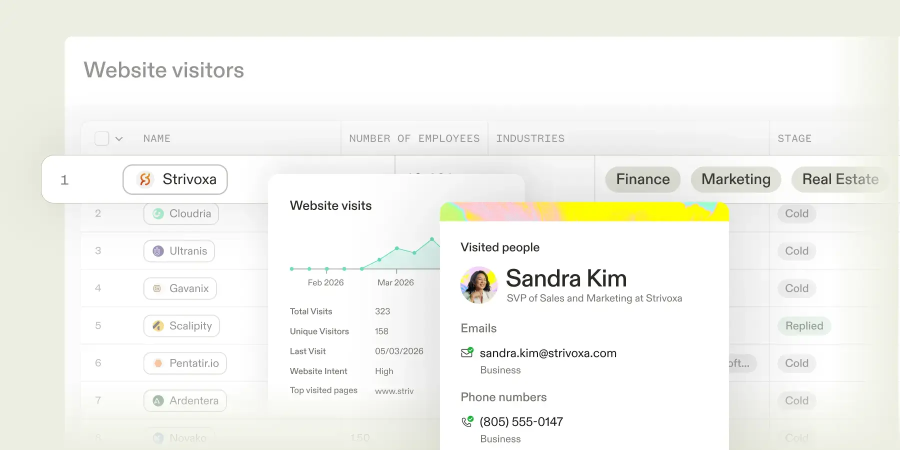 Website visitors dashboard showing identified companies and contacts